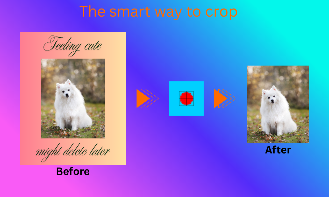 PicTrimmer gallery image