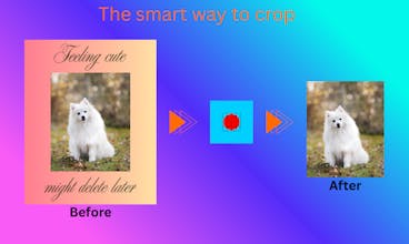 PicTrimmer gallery image