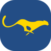 Easy Critical CSS - Product Hunt launch logo and brand identity