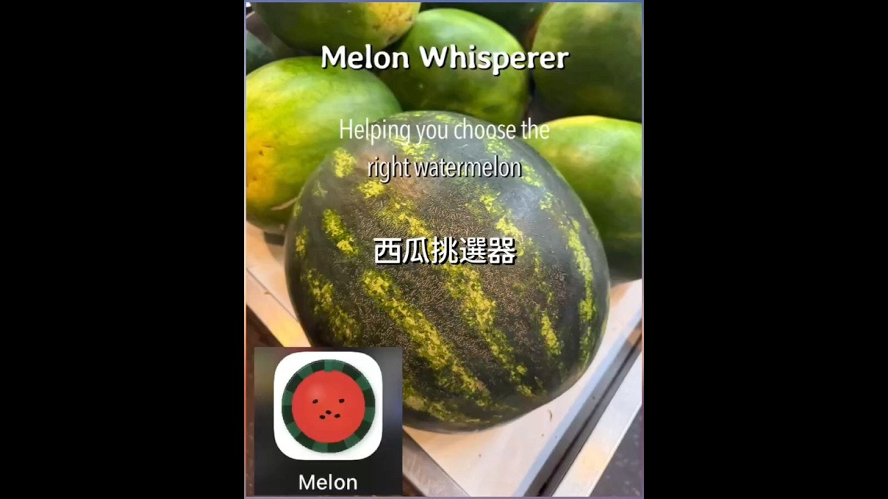 Melon Whisperer gallery image