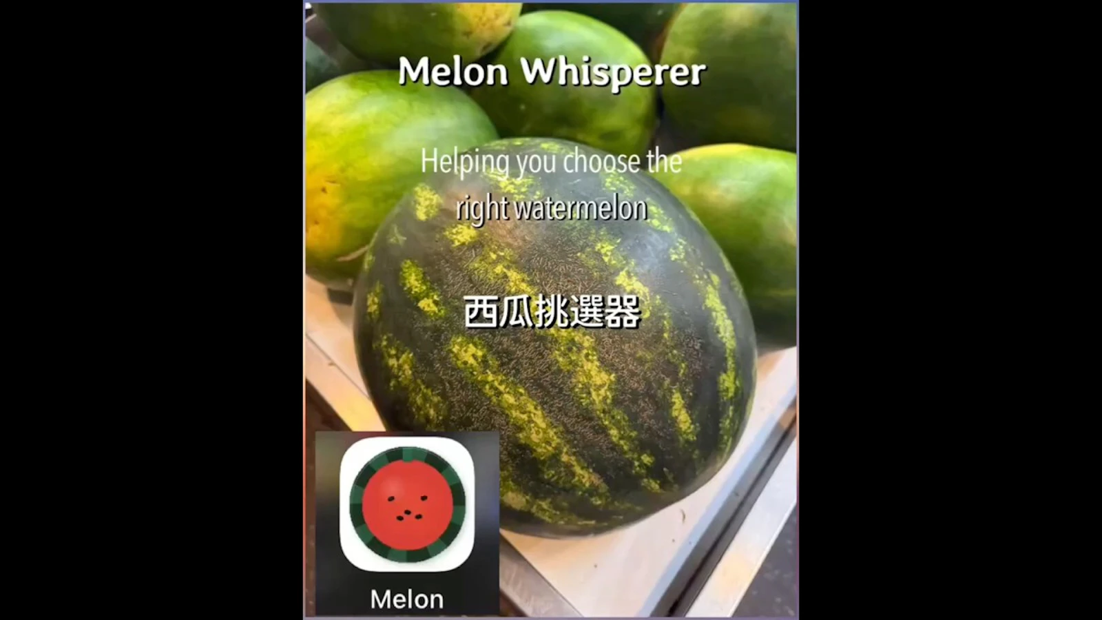 Melon Whisperer screenshot 1 (video preview)