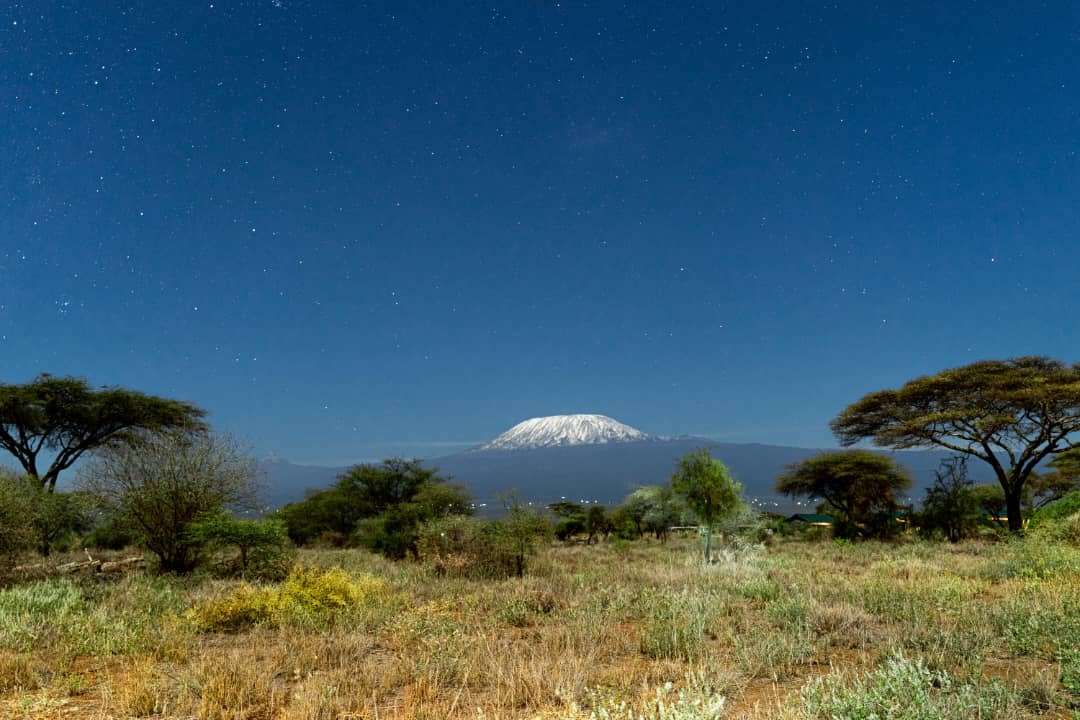 Africantrust Safari gallery image