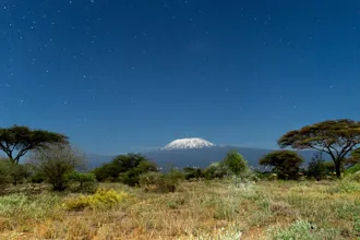 Africantrust Safari gallery image