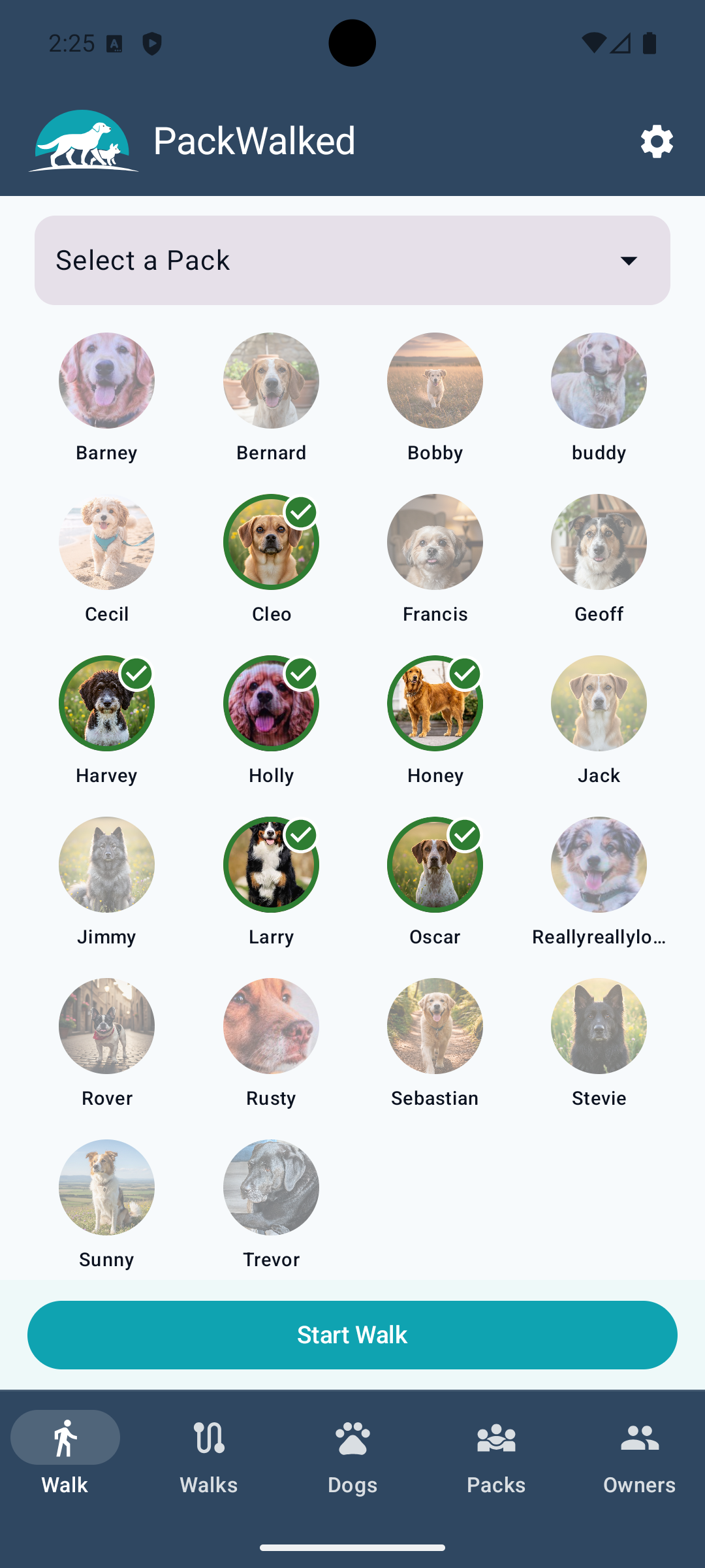 PackWalked gallery image