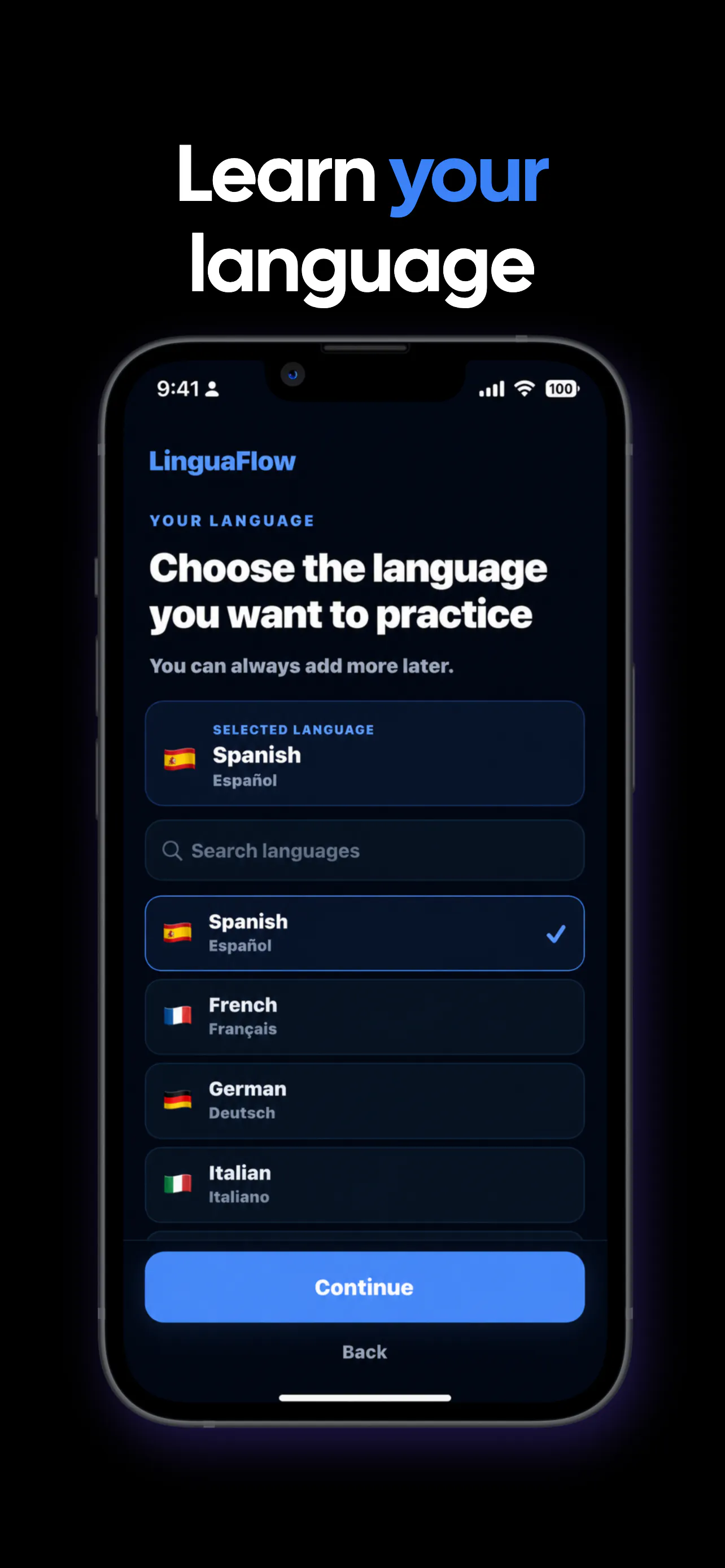 LinguaFlow gallery image