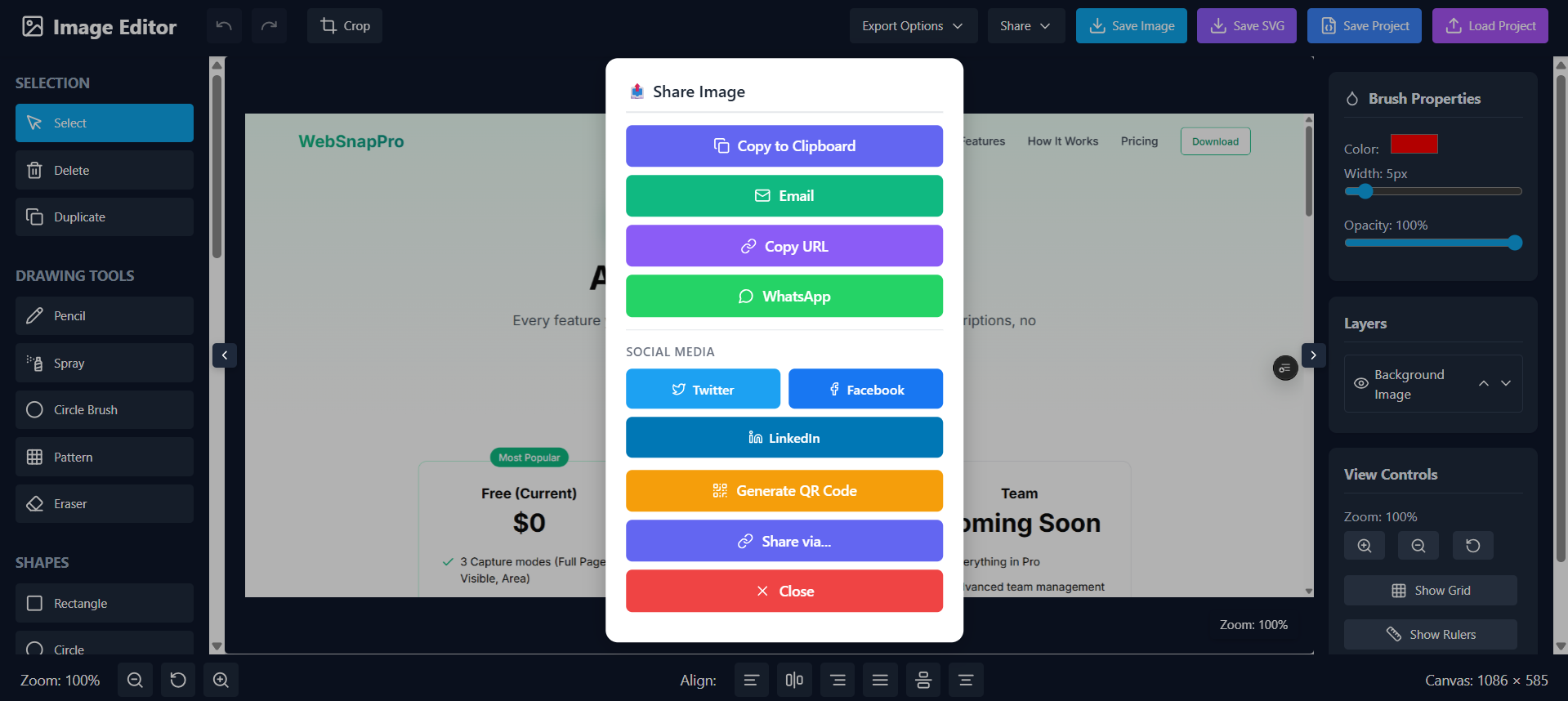 WebSnapPro gallery image