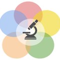 webrtcdevelopment npm module