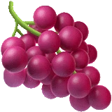 emojis for developers