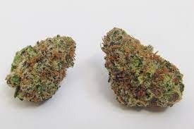 mandarine cookies strain allbud media 1