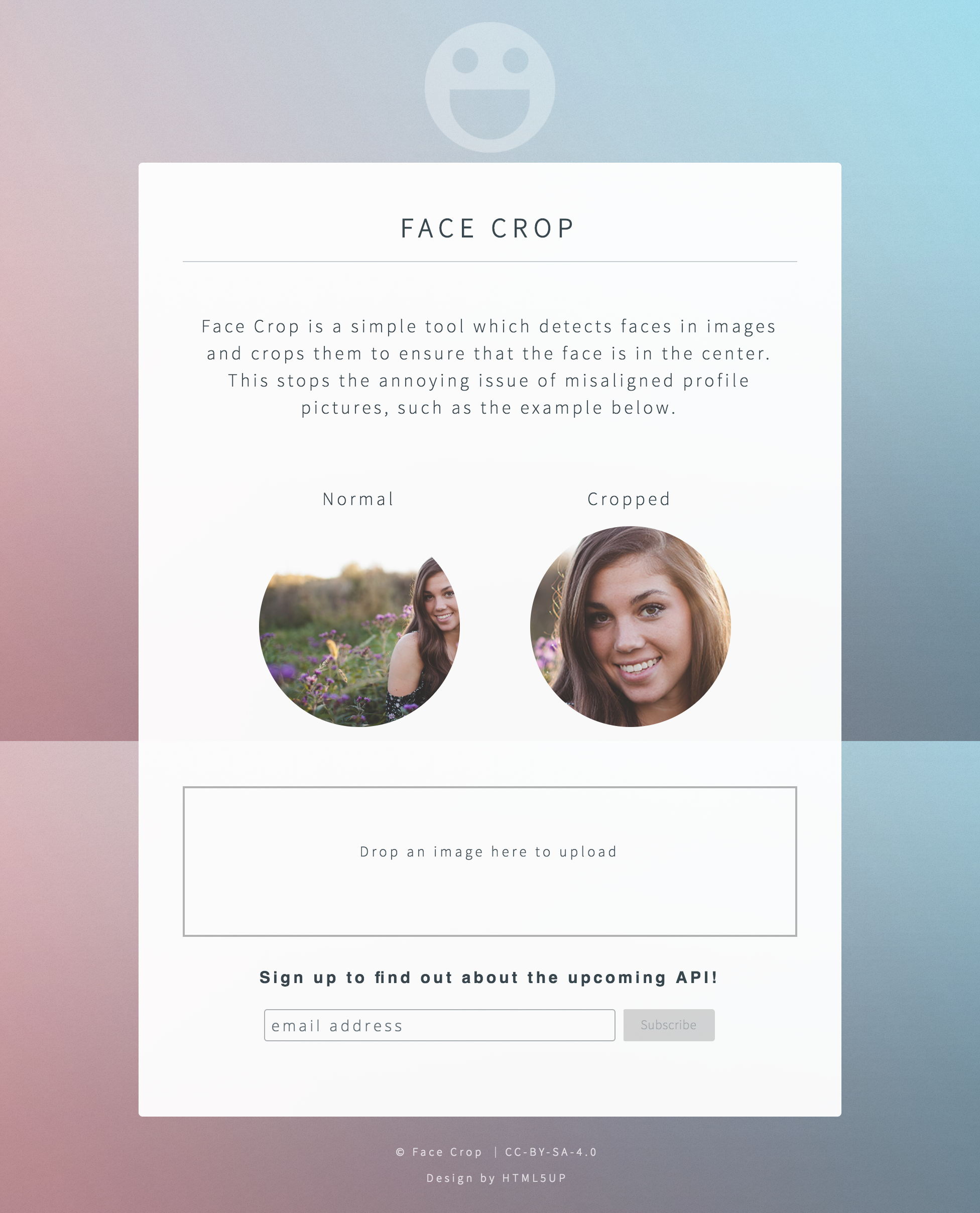 Face Crop gallery image