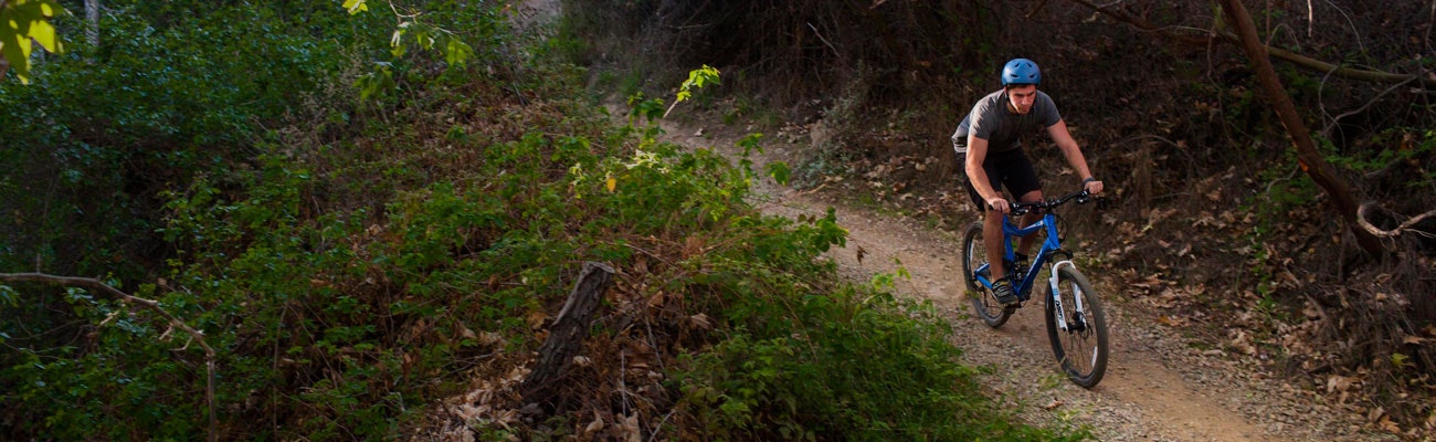 Spinlister gallery image