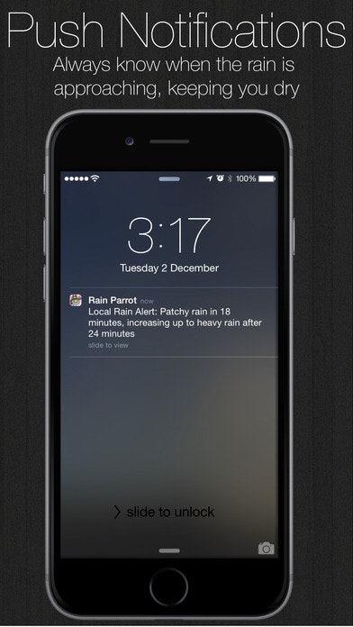 Rain Parrot gallery image