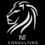 PJT Consulting Inc