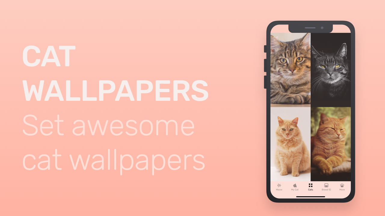 Meowly gallery image