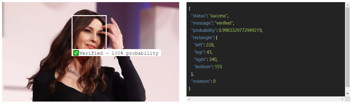 Luxand.cloud - Face verification API media 2