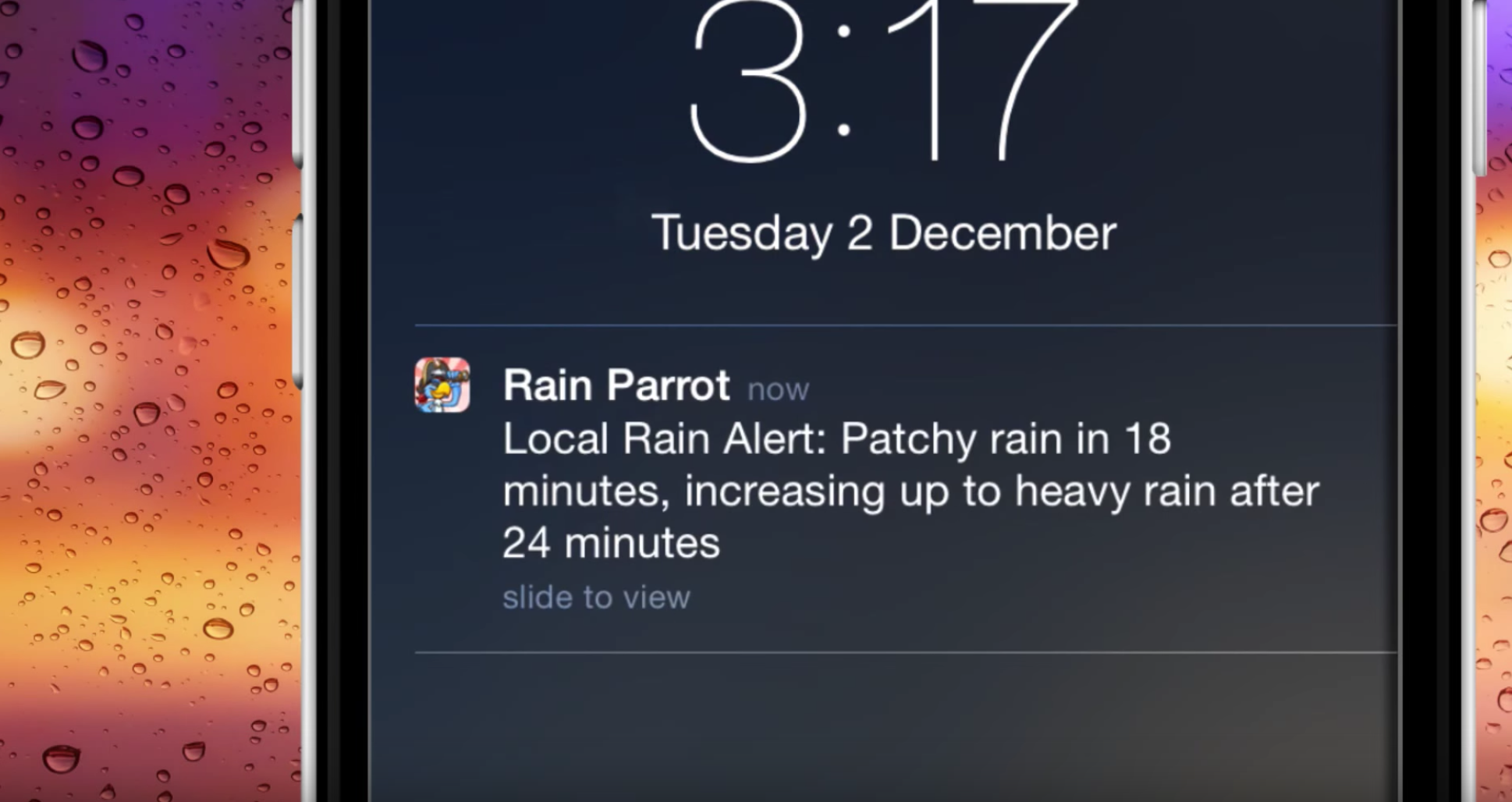 Rain Parrot gallery image