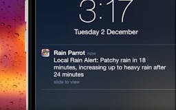 Rain Parrot media 3