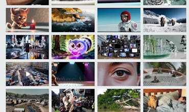 Sora Cool gallery image