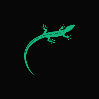 Lizard Studio