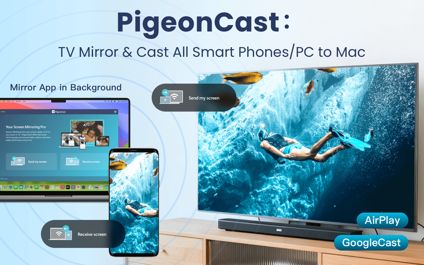 Cast by Google Cast：PigeonCast gallery image