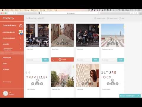 Fanchimp gallery image
