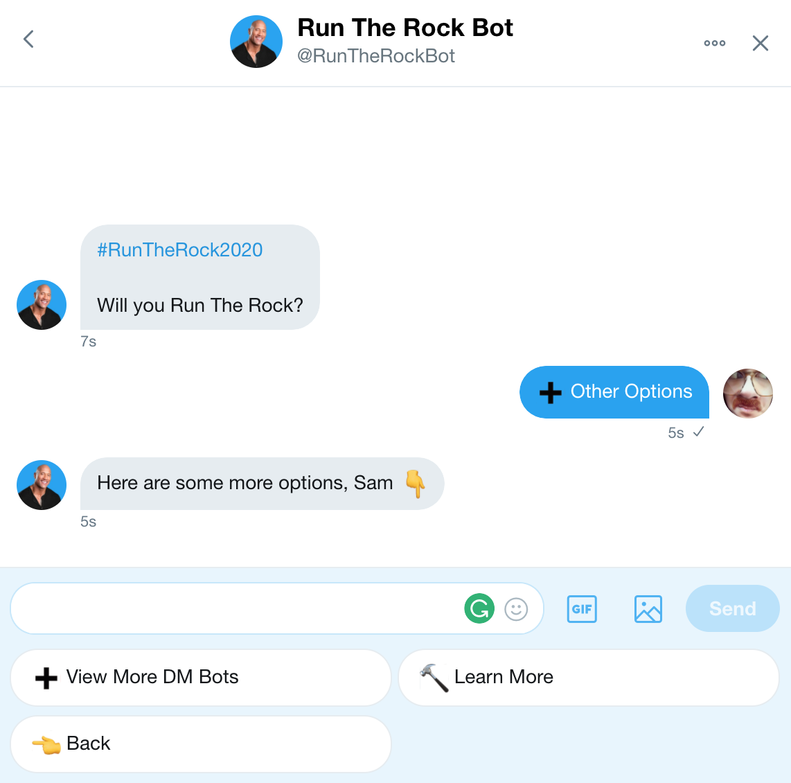 Run The Rock Bot gallery image