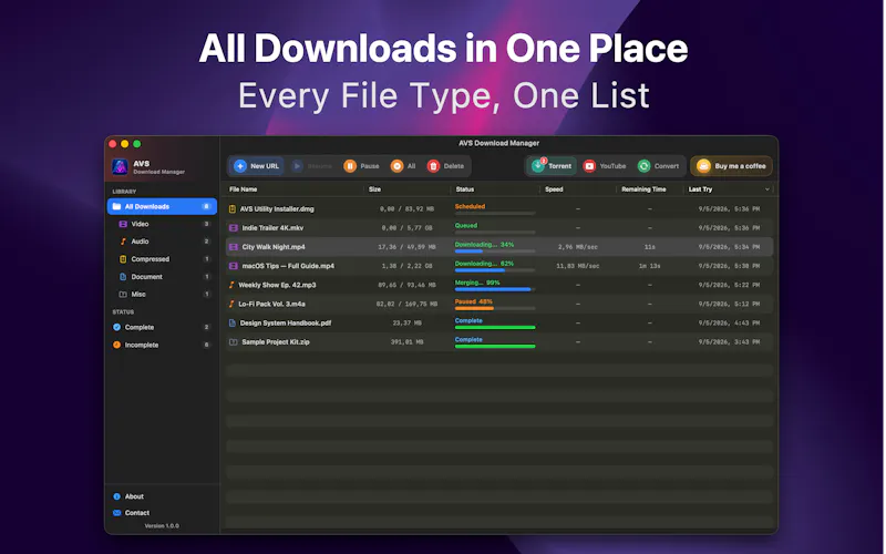 AVS Download Manager screenshot 1