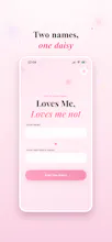 Love Me or Not: Daisy Game gallery image