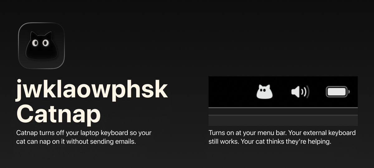 Catnap: Turn off your laptop keyboard gallery image
