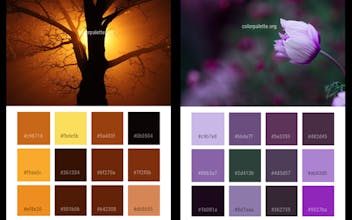 Color Palette gallery image