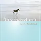 The Untethered Soul