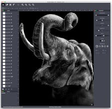 StrokesMaker gallery image