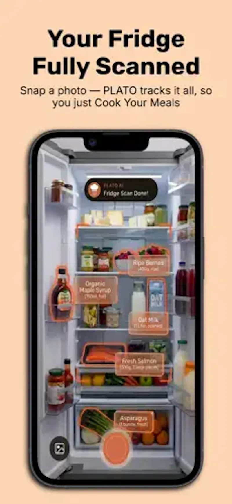 PLATO: Recipes & Pantry AI screenshot 1