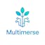 Multimerse