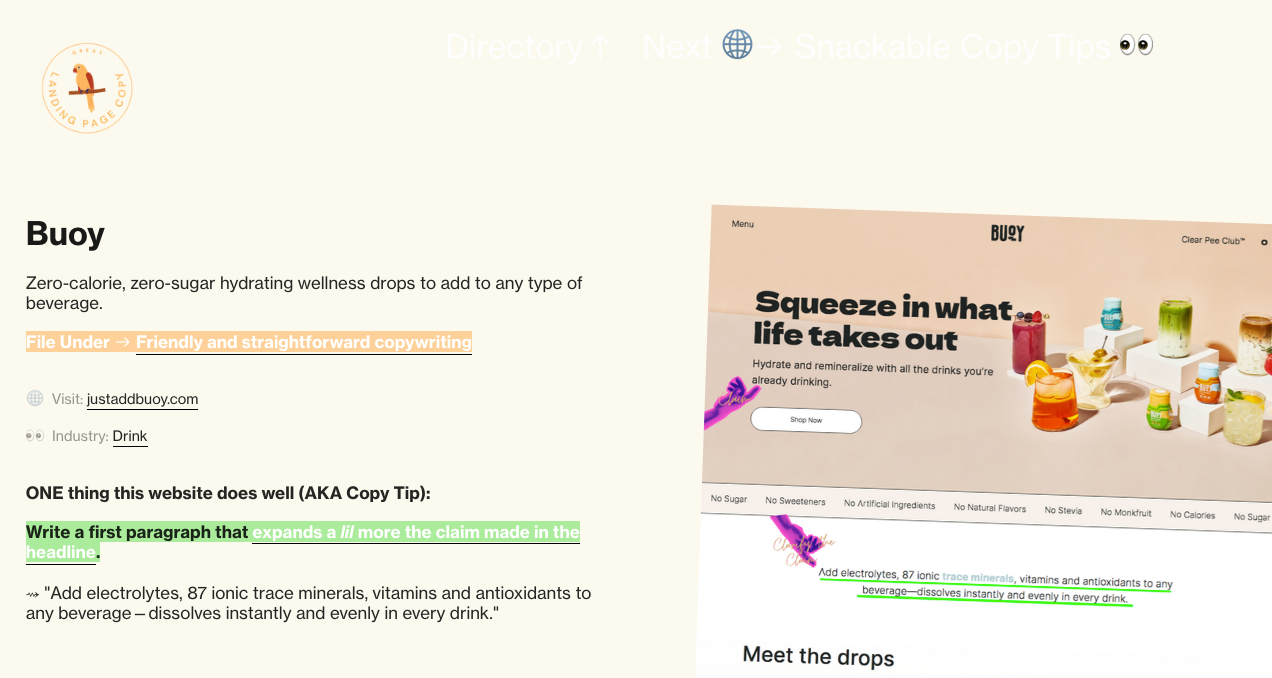 Great Landing Page Copy 2.0 media 9
