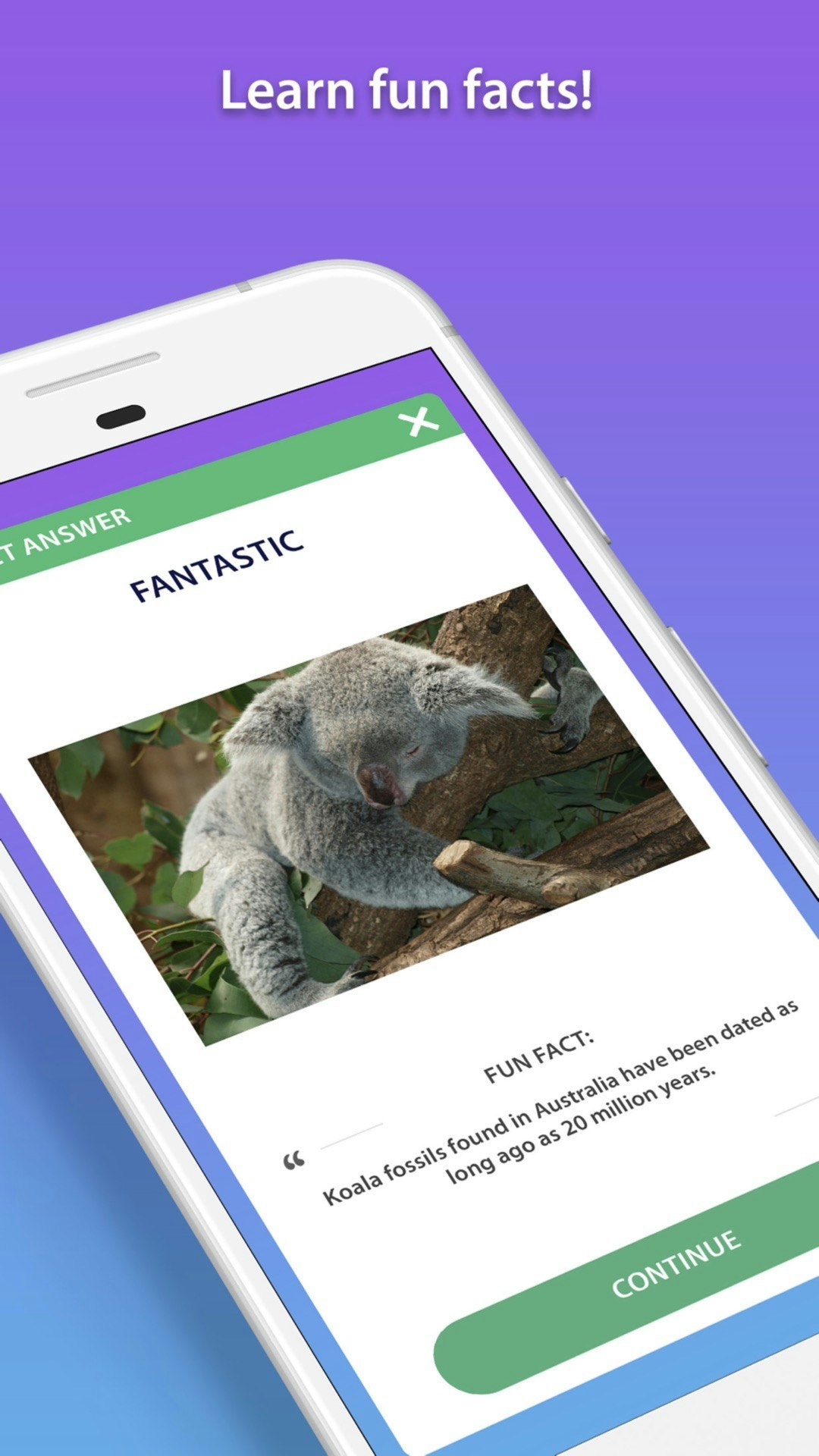 General Knowledge Quiz gallery image