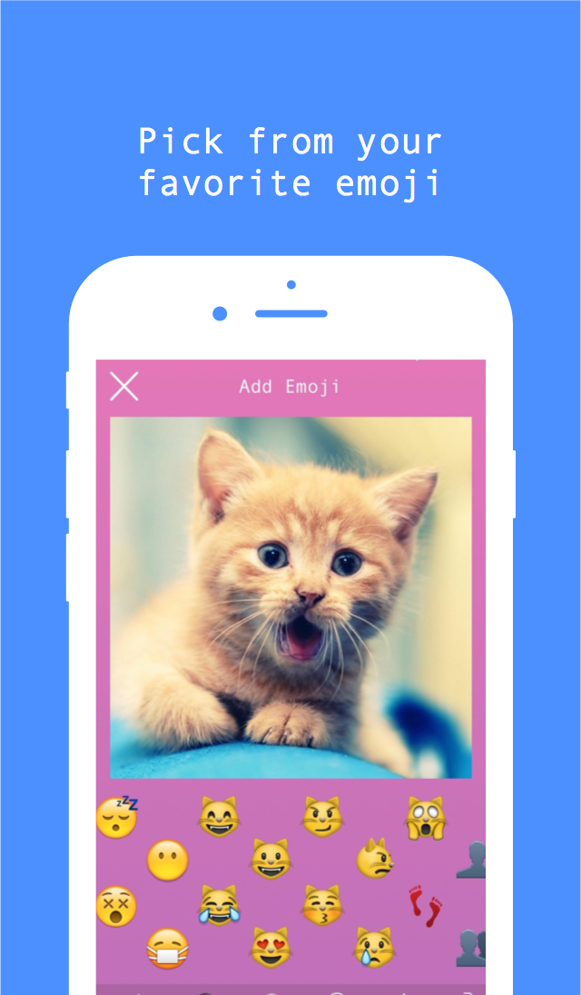 Shuggie gallery image