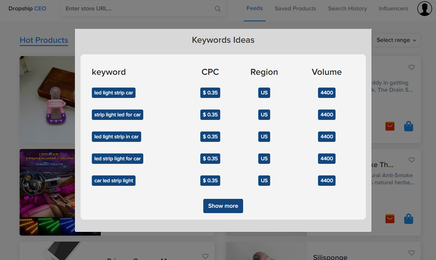 Dropship CEO gallery image