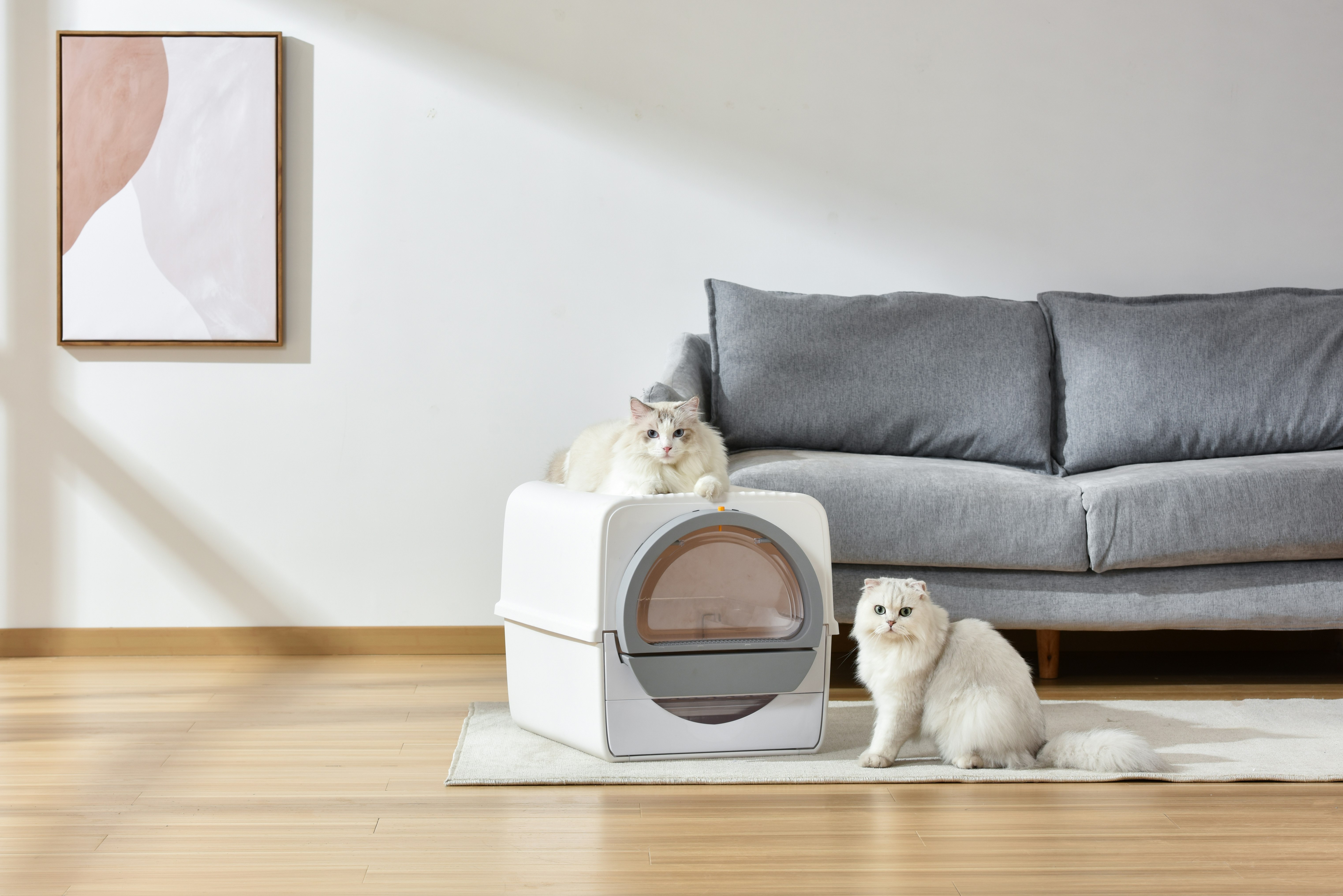 Peterest gallery image