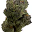 Sub Zero (Hybrid/Indica)