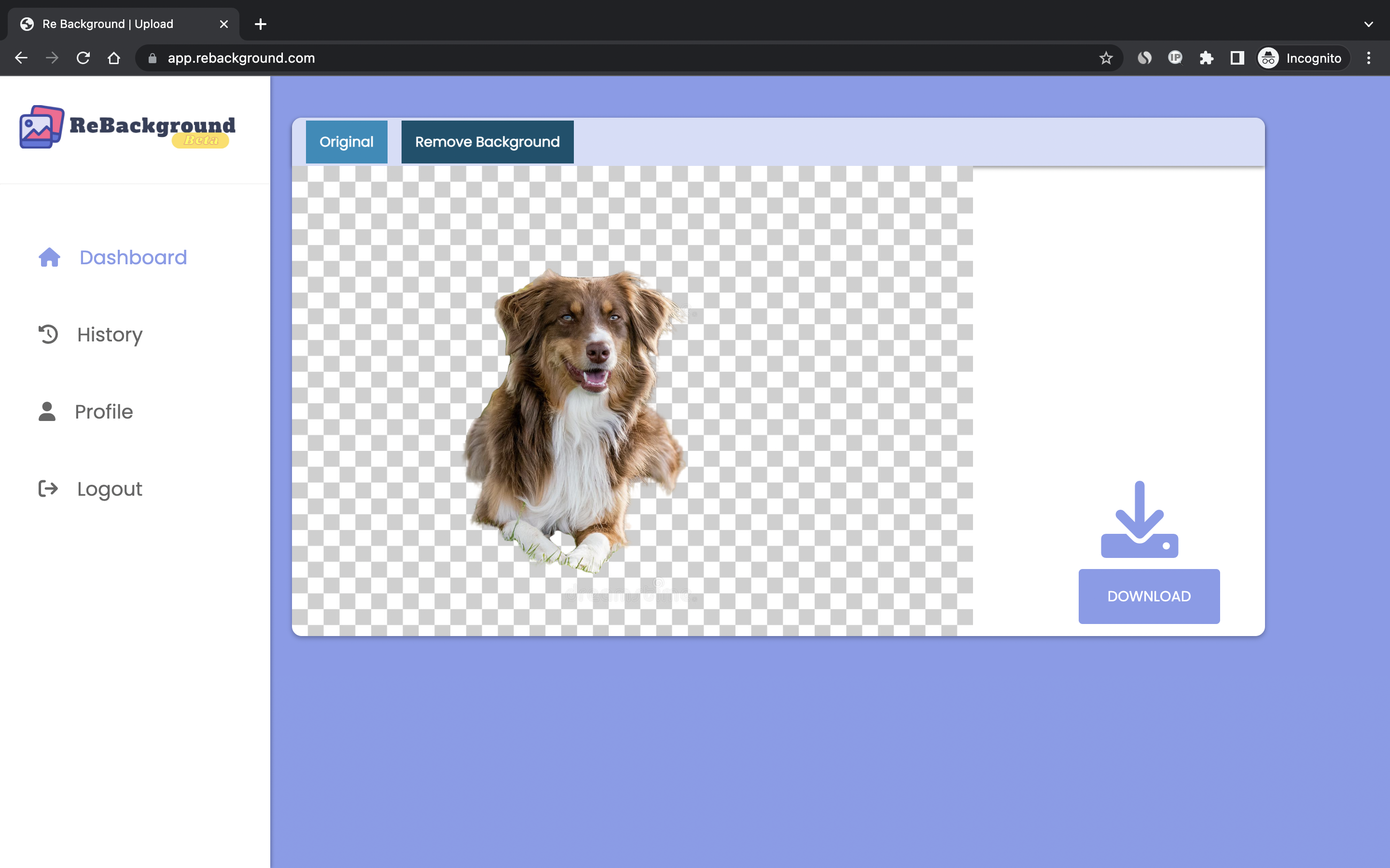 889d819d-00aa-4a14-8aed-a9e32401e467.png