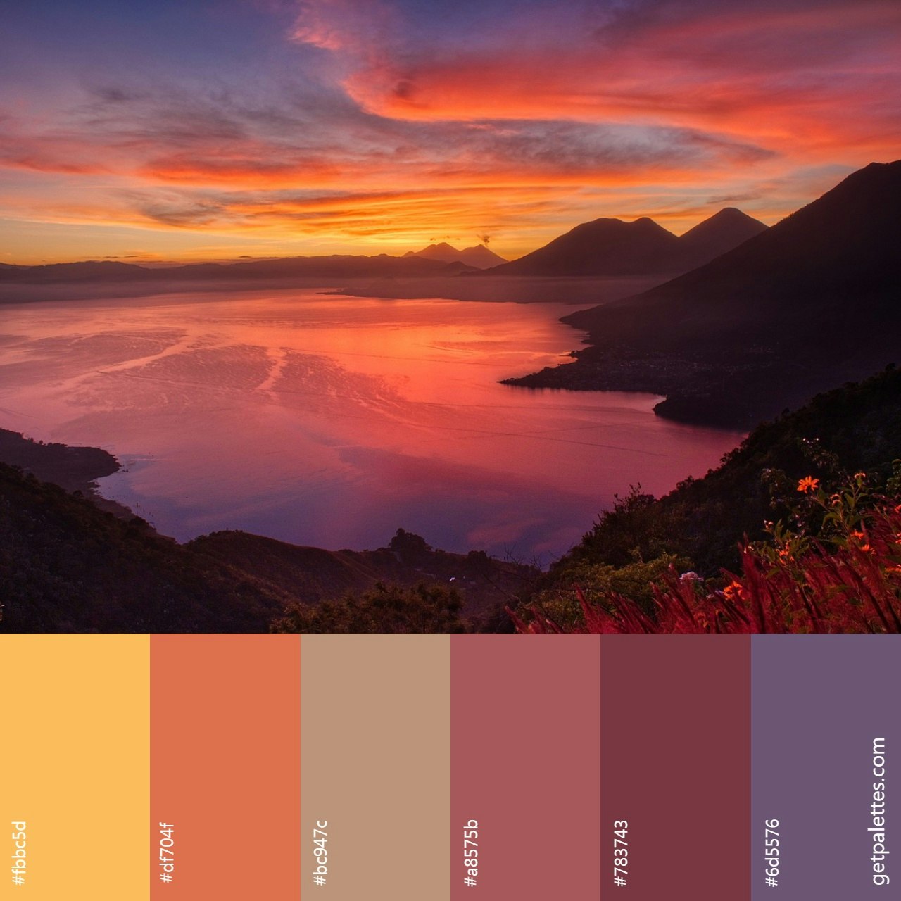 Color Palette Finder gallery image