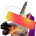 INTRO