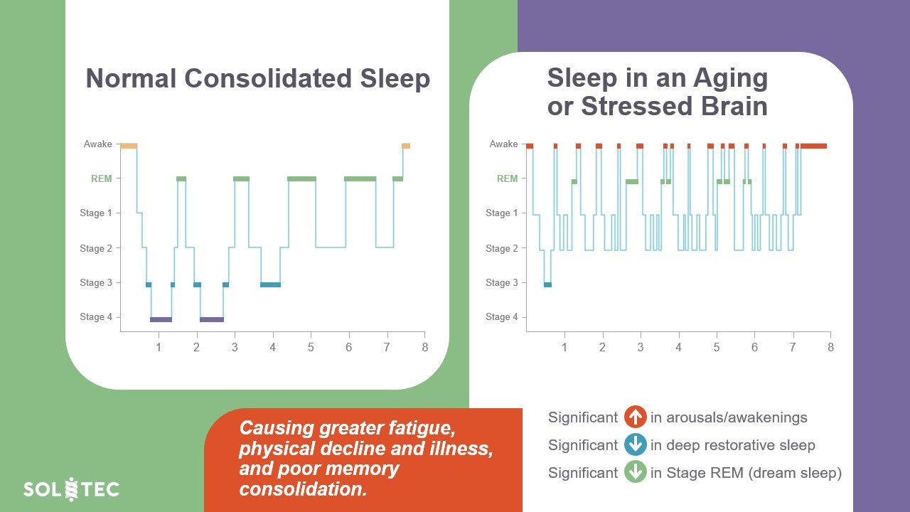 SOLTEC-SMS Sleep Management System gallery image