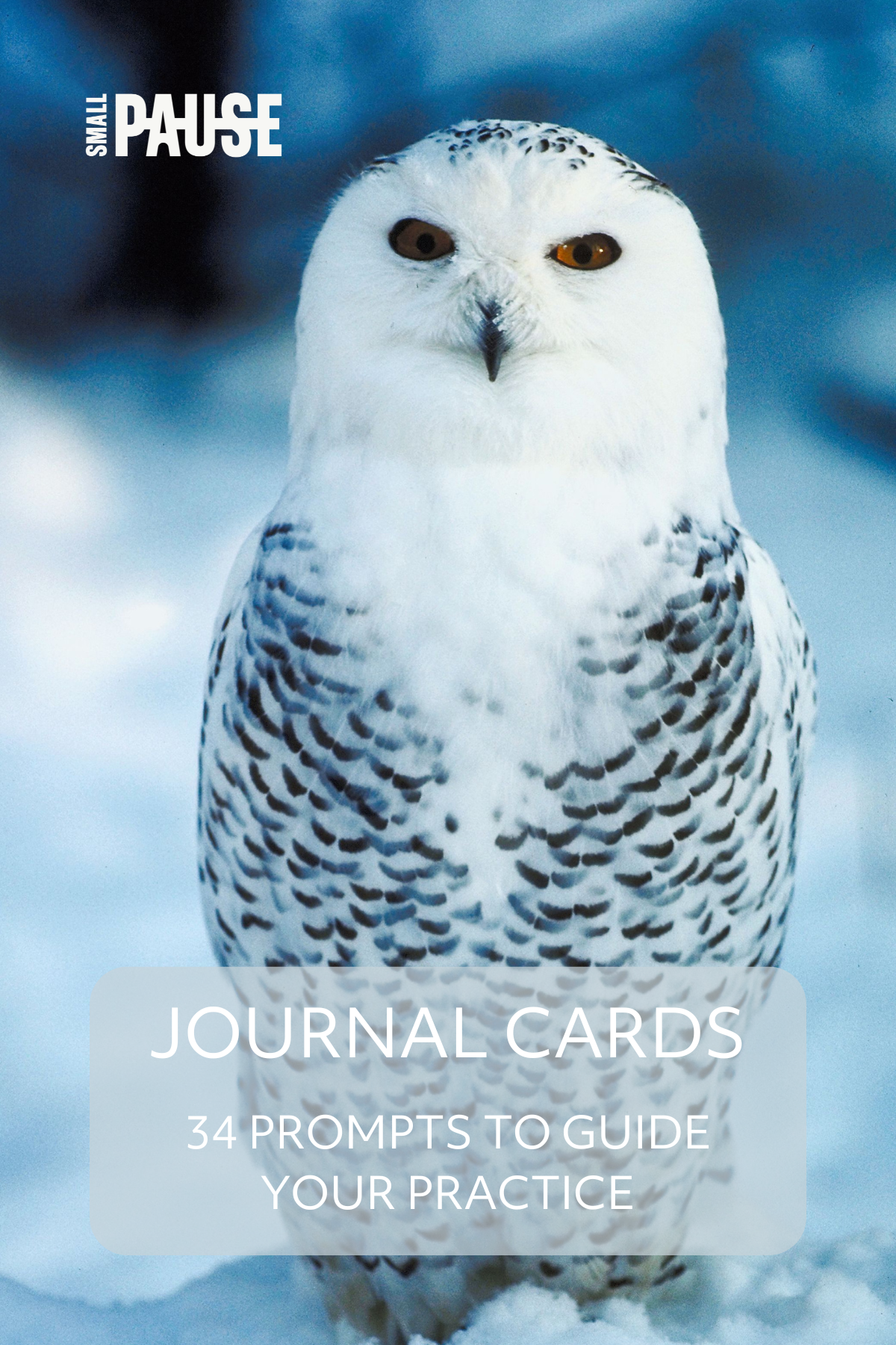 34 Journal Writing Cards