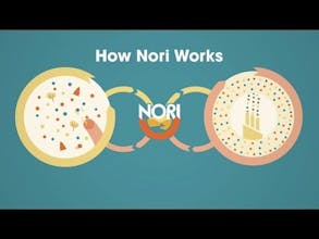 Carbon Removal Market by Nori gallery image