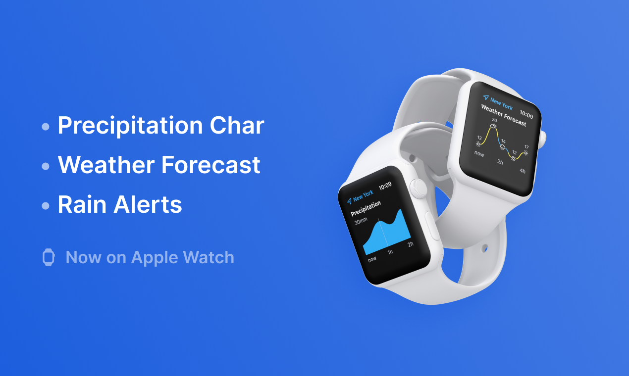 RainViewer 2 gallery image