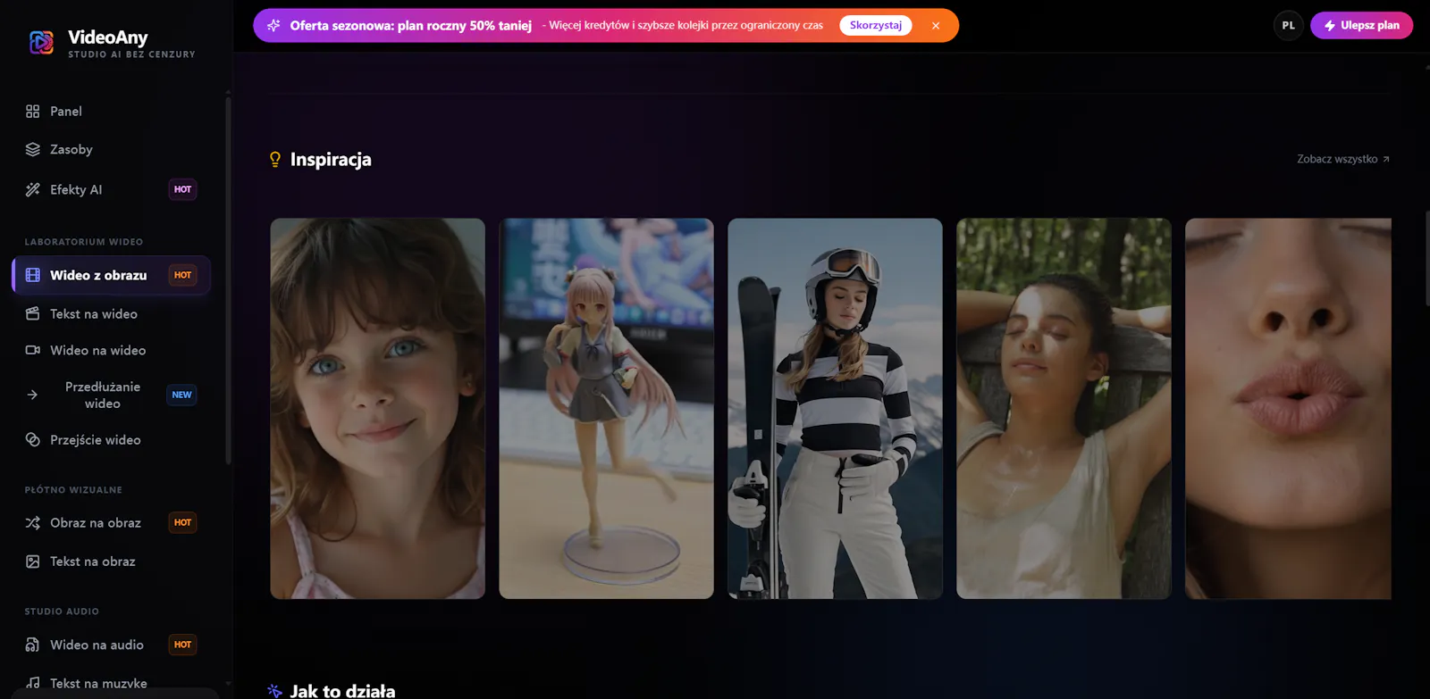 VideoAny PL screenshot 2