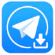 Telegram Video Downloader