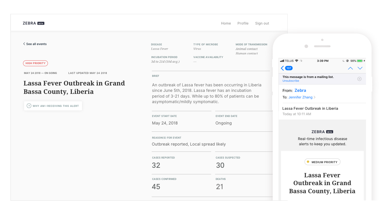 Zebra (Beta) gallery image